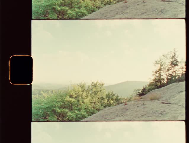A rocky hillside with trees overlooks the forest