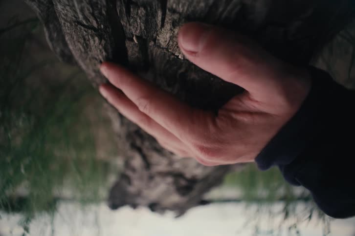 A persons hand gently touching the rough bark of a tree in an outdoor natural setting