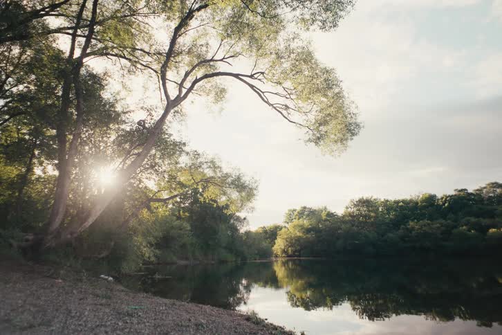 Landscape of a calm lake surrounded by a forest