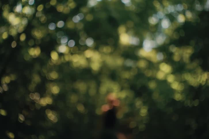 Blurred figure walks among sunlit trees in the forest