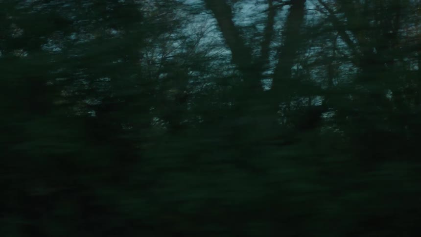 Blurry trees are silhouetted against a pale evening sky