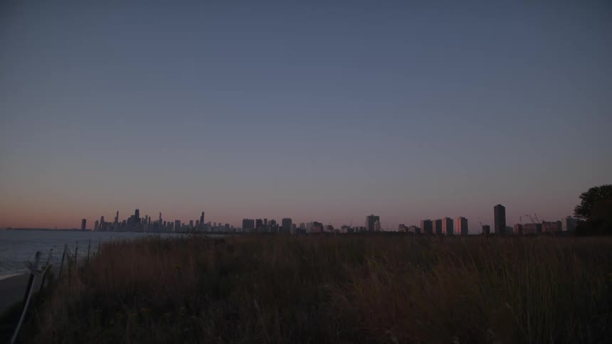 Chicago skyline at dawn with tall grass by the water