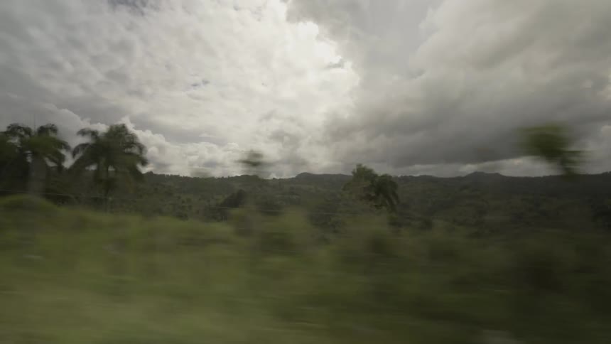 Passing by some hills with palm trees all over