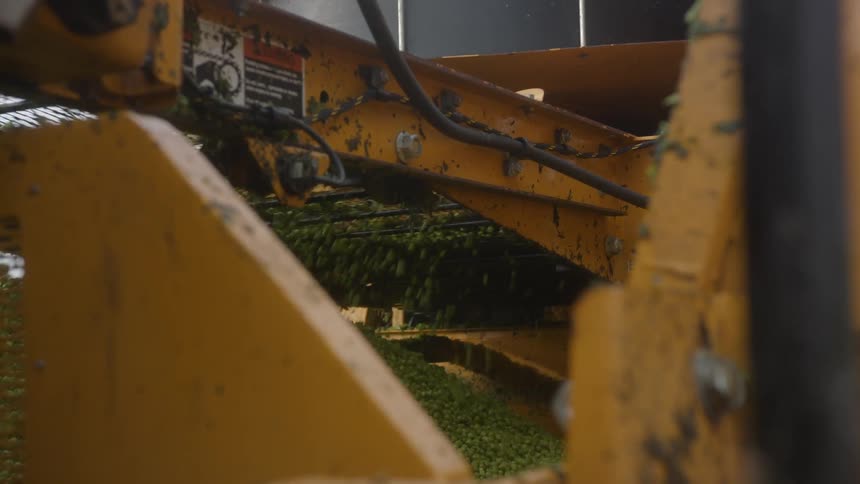 The farm machine is sorting crops