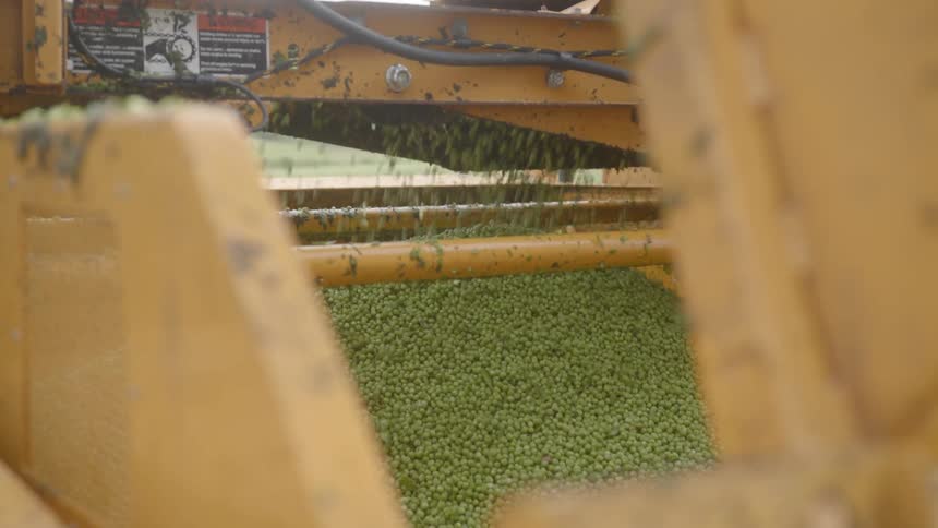 The farm machine is working during the day