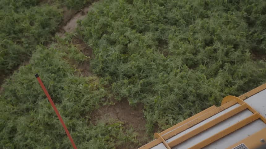 A large machine harvests crops on agricultural land