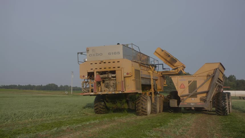 An agricultural combine unloads crops into a trailer in a field