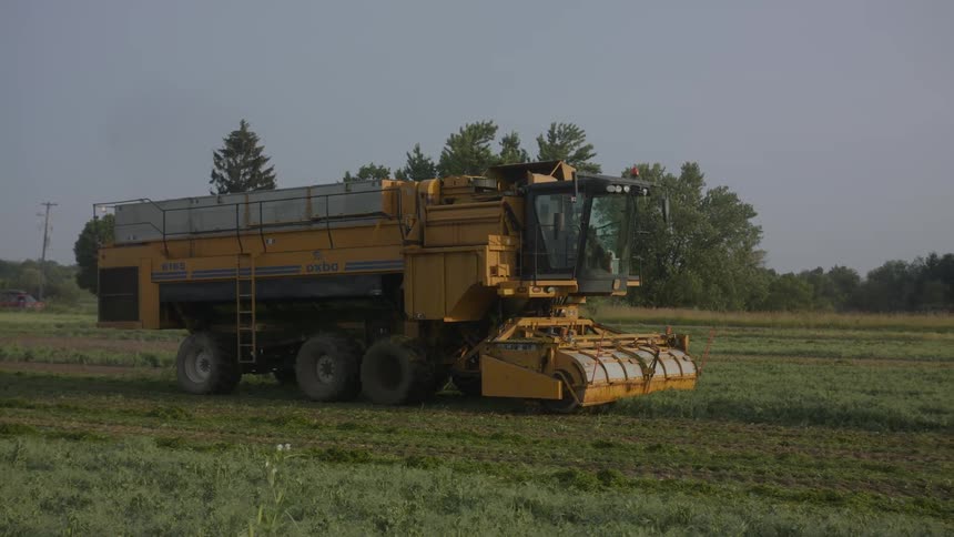 A large yellow agricultural machine identified as an oxbo 6165 stands in a harvested green field under a clear sky with trees and farm buildings in the background