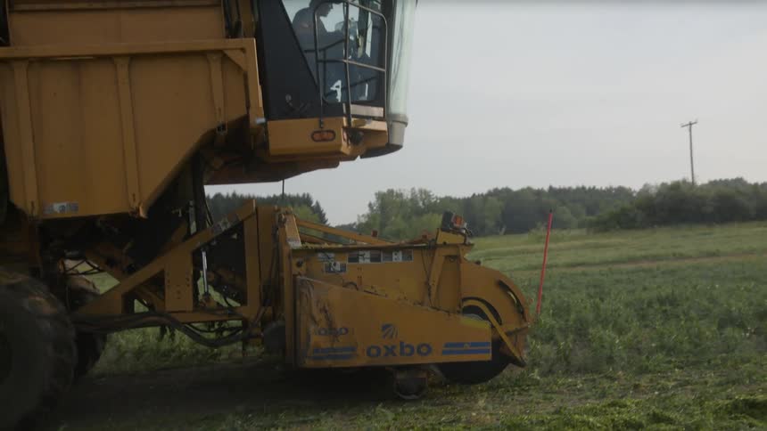 Farmer driving a vehicle that is working the field