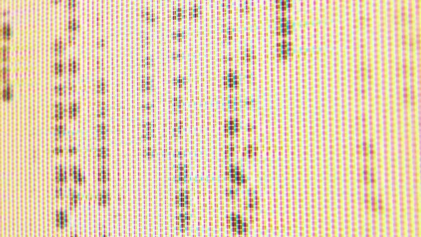 Static fills the screen