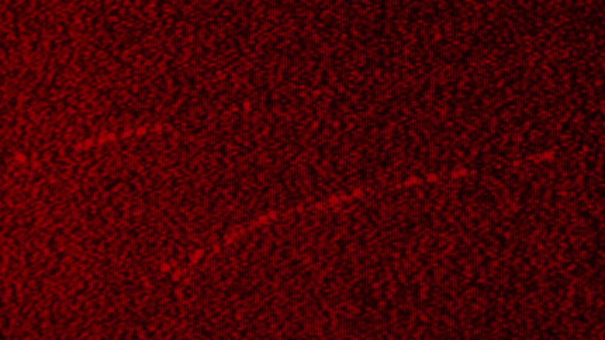 Red static is displayed on the screen