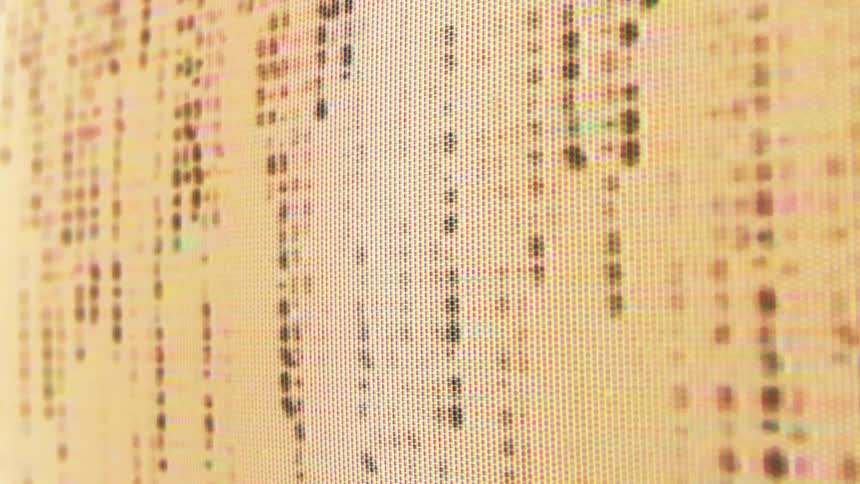 The static flows down the screen