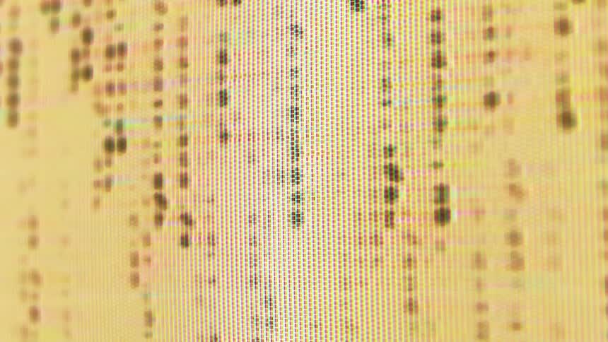 Vertical yellow and black code streams flow down a digital screen