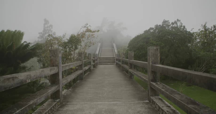 Trees and fences line a walking path on a foggy day