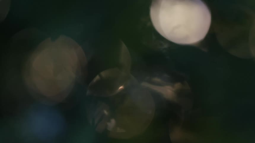A blurry abstract view of a dark background with several large circular shapes of light that fade in and out