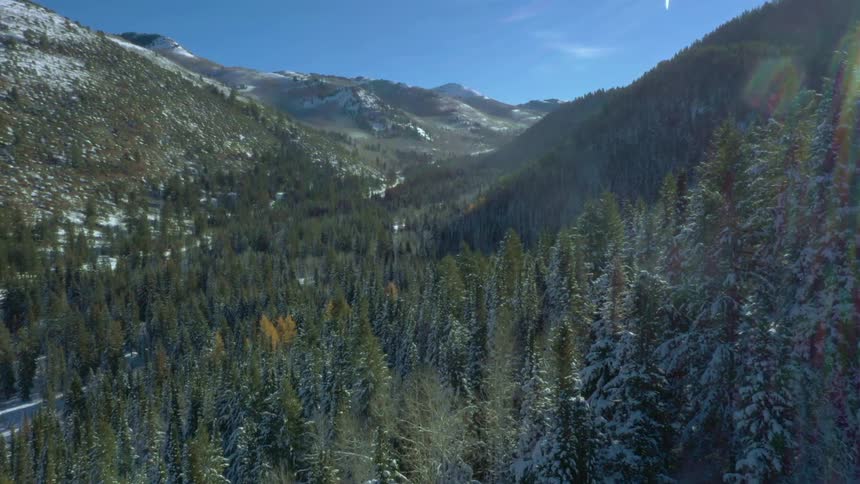 Mountain valley covered with snowy forests stretches under a blue sky