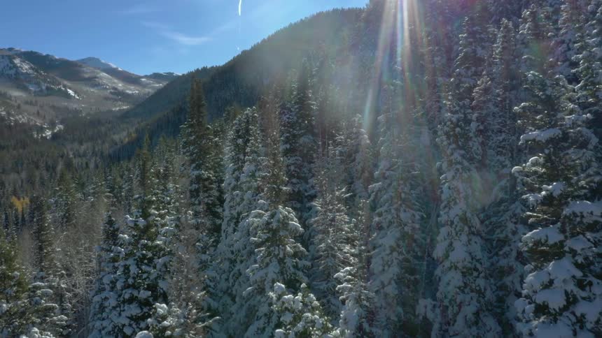 Mountains covered with snowcapped pines are bathed in intense sunlight
