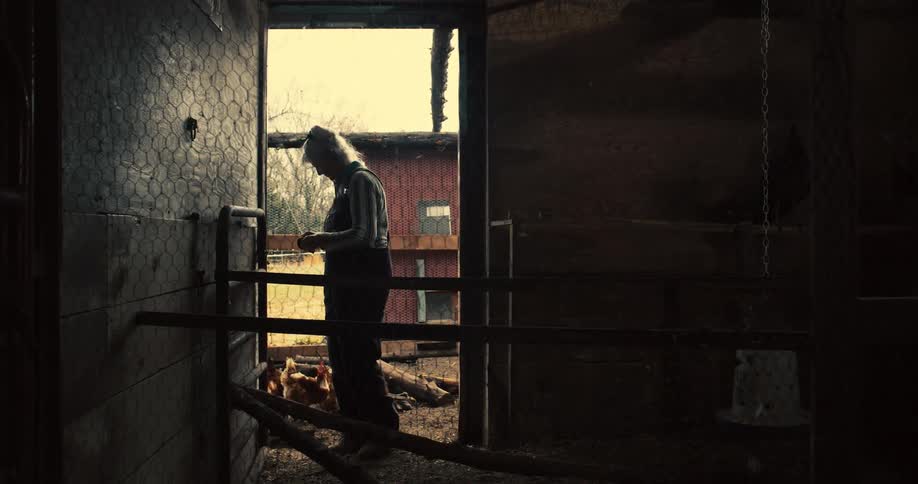 A silhouetted farmer stands inside a dark barn looking down at the ground feeding a few chickens with the light from outside casting her shape against the doorway