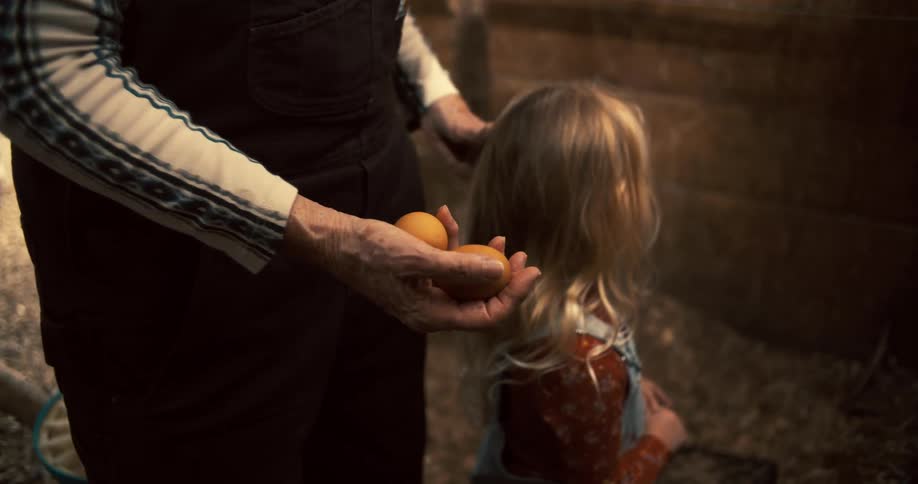 A woman shows a child eggs in the coop