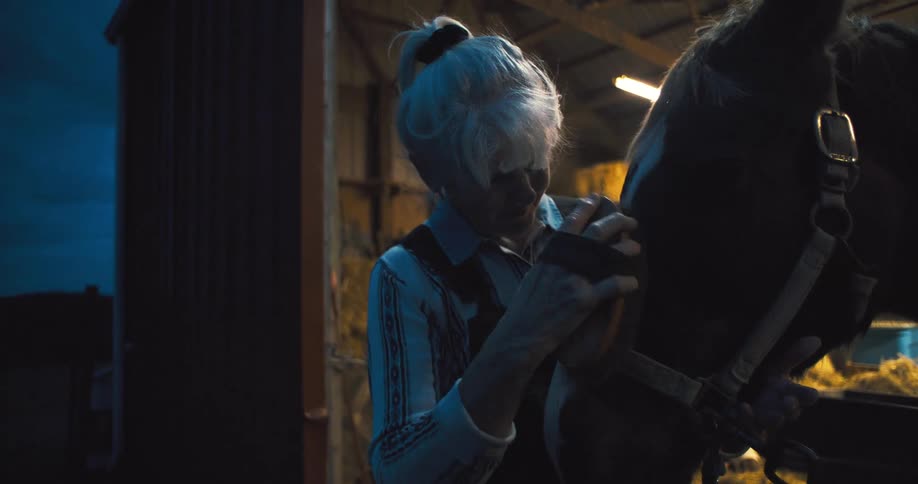 A woman brushes a horse and gives it a kiss