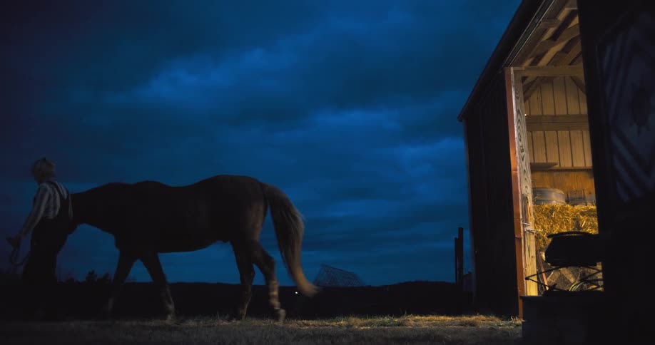 An elderly woman leads a horse outside a barn at dusk