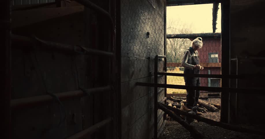 An elderly woman feeds chickens on a farm