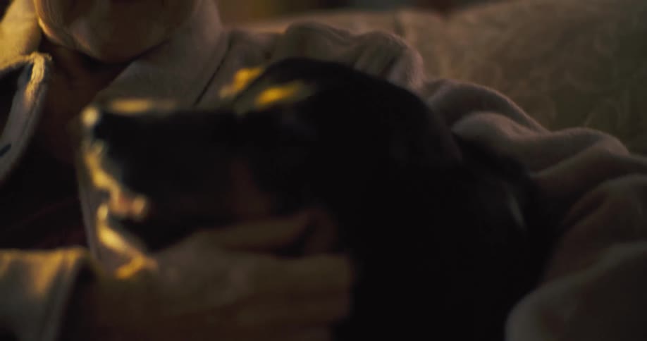 An elderly woman gently pets a dog in warm light