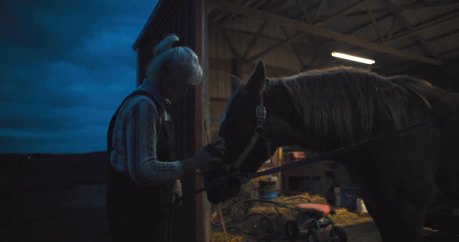 Woman brushing her horse in the stable at night