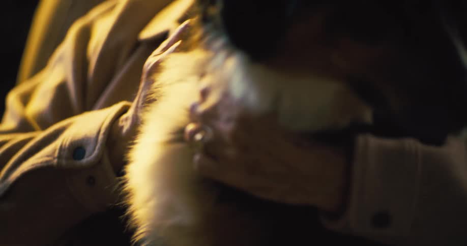 Elderly woman sitting and petting a black dog in a cozy setting