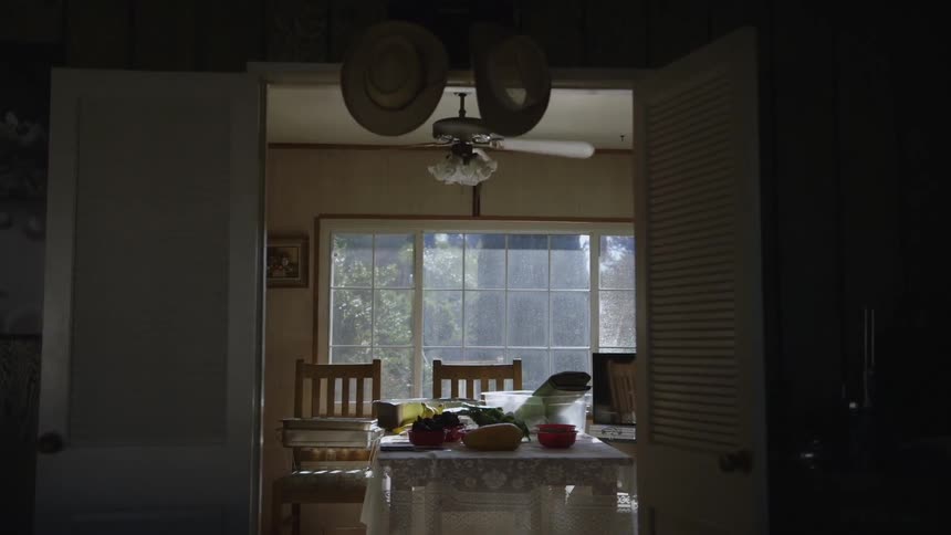Fan spinning over kitchen table