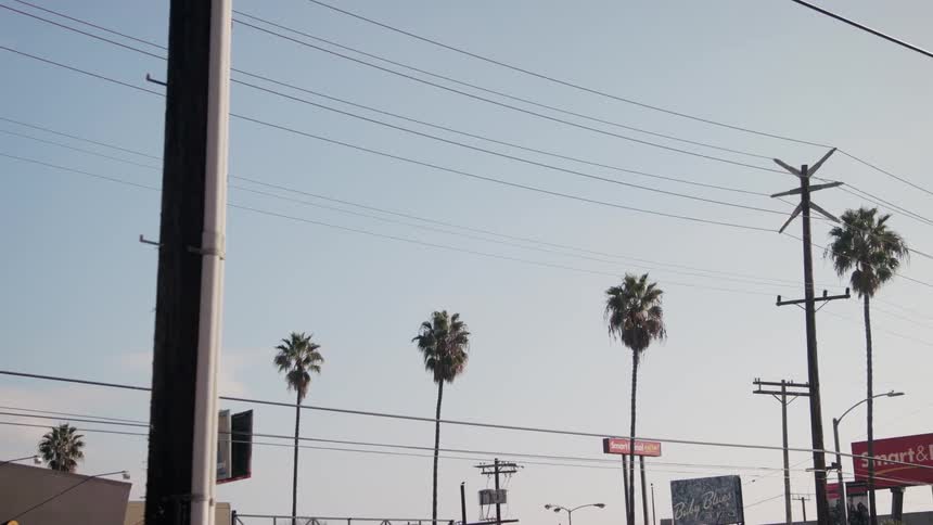 Tall palm trees stand tall in front of a retail complex