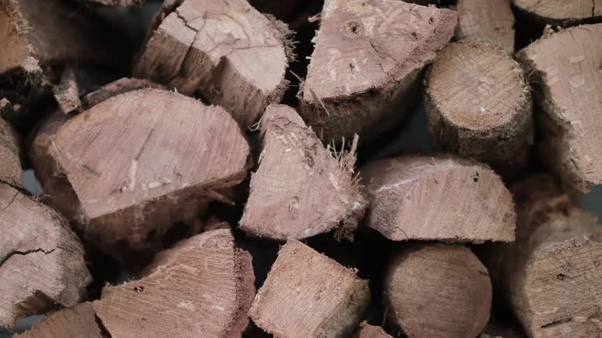 A stack of logs is cut in a pile