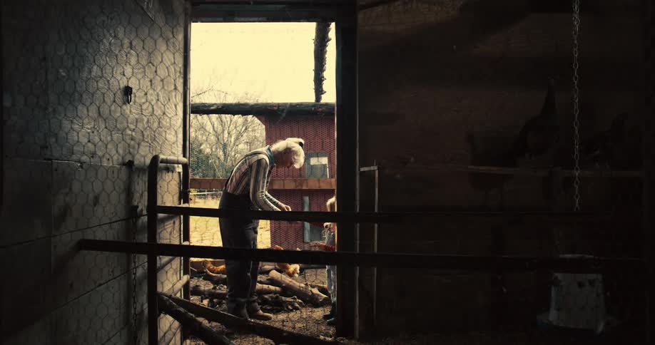 A woman and a child stand near the entrance of a dark chicken coop as the woman bends down to tend to the chickens