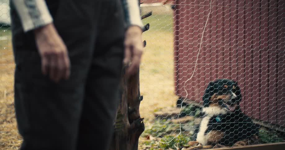 Elderly woman stands on the outside of the mesh her dog is lying next to during the daytime