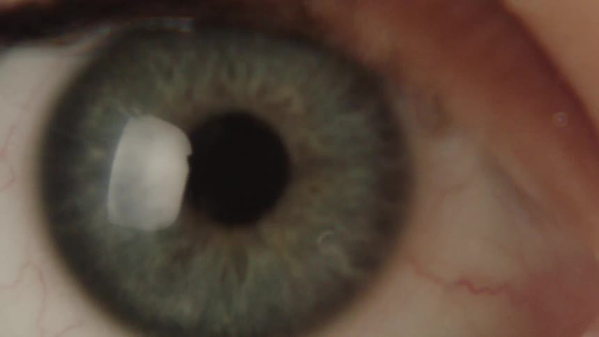 An extreme closeup of a human eye blinking and shifting its gaze with a sharp focus on the iris and pupil