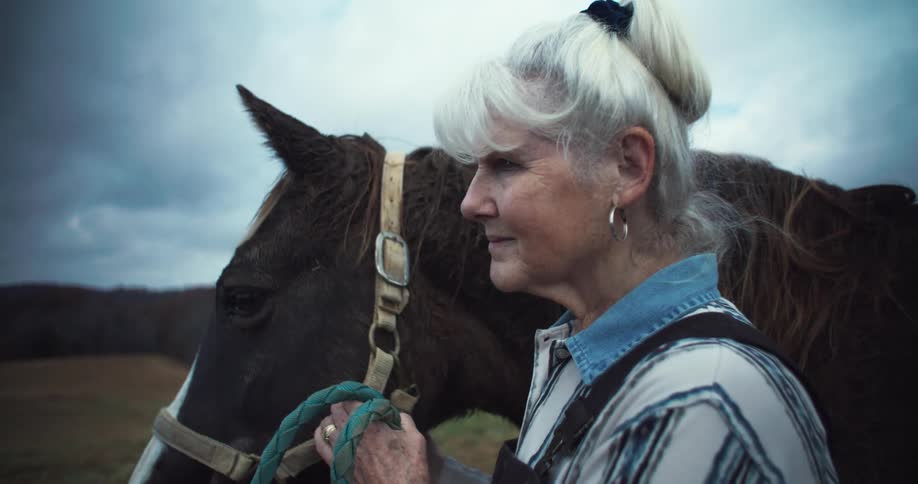 An elderly woman stands beside a colt outdoors at midday