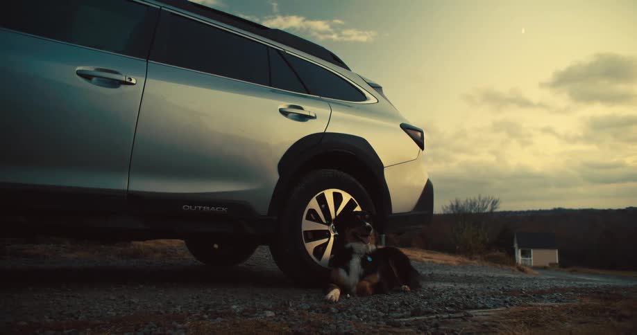 A tricolored australian shepherd dog with a white chest and a black and tan face lies on the ground next to the back tire of a silver subaru outback wagon