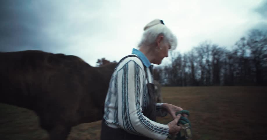 A smiling old woman in a grass field pets and talks to a horse while removing its reins then approaches a donkey but the donkey runs away