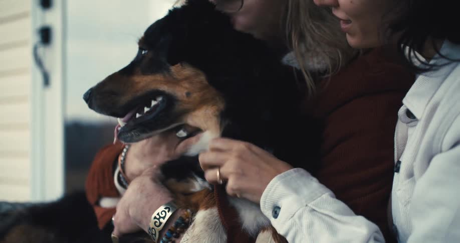Two people joyfully nurture and play with a happy dog indoors