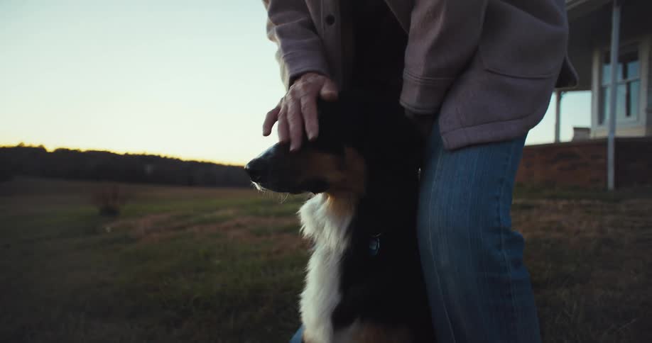 A person pets a dog leaning affectionately against their legs outdoors