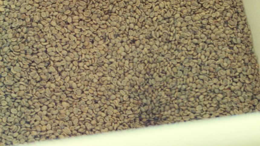 Close up of food grains being processed in a machine