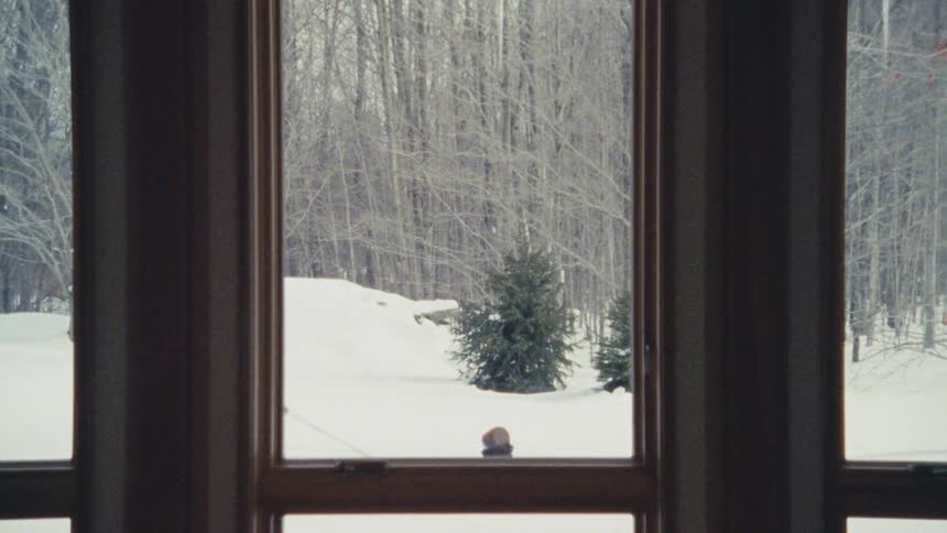 Kid in a coat pulling a sled in the snow seen through a window
