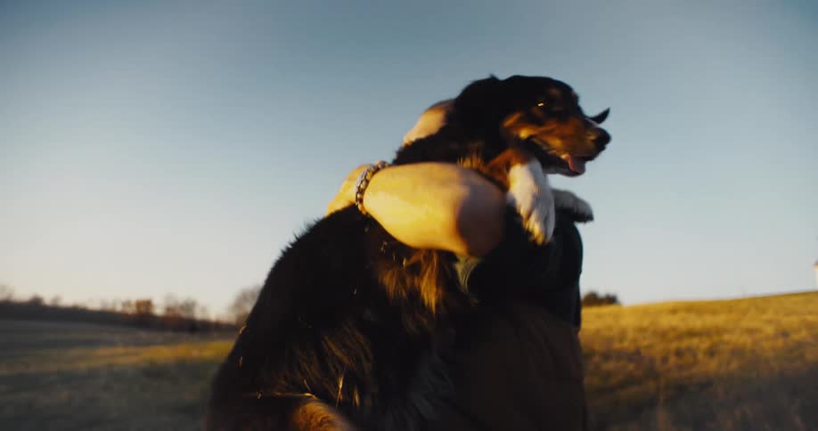 Man carrying a dog in his arms at sunset