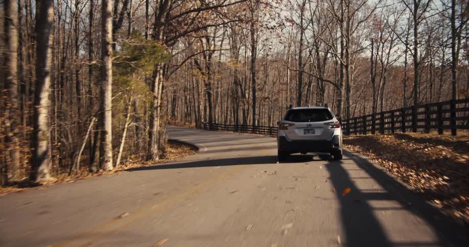 Traveling on a tree lined road through the forest on a fall day