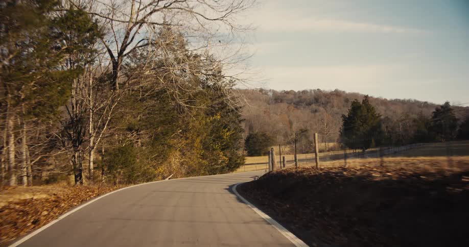 A winding country road through fields with trees and fences