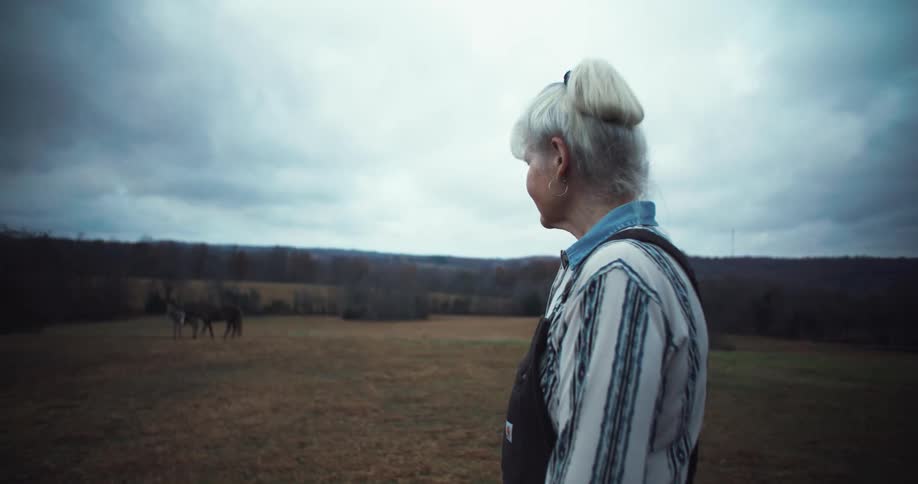 A woman with her white hair pulled up in a ponytail and wearing a striped shirt and overalls stands in a field with her back mostly to the camera looking out at two horses in the distance