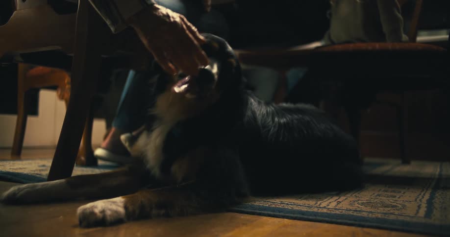 A dog is lying on a rug as a persons feeds it and theres a children in the background