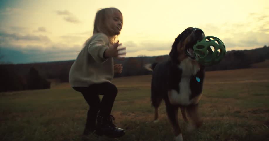 A child with light colored hair and a teen with dark hair who is kneeling down throws a ball to a dog that runs and jumps in a grassy field