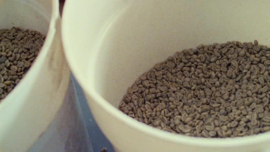 A very close view of two white buckets shows them being filled with small light green coffee beans
