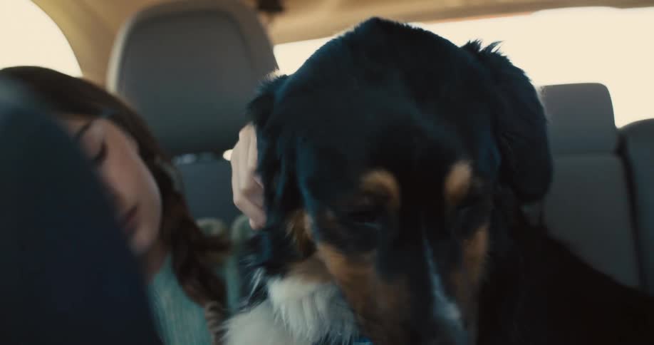 A girl pets her dog while traveling in a car